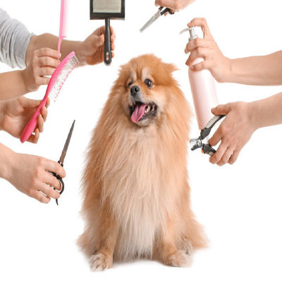Pet Grooming