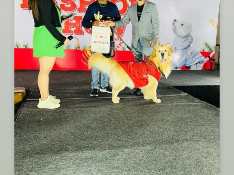 Pet Event Curator
