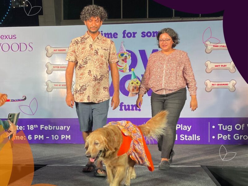 Pet Event Curator