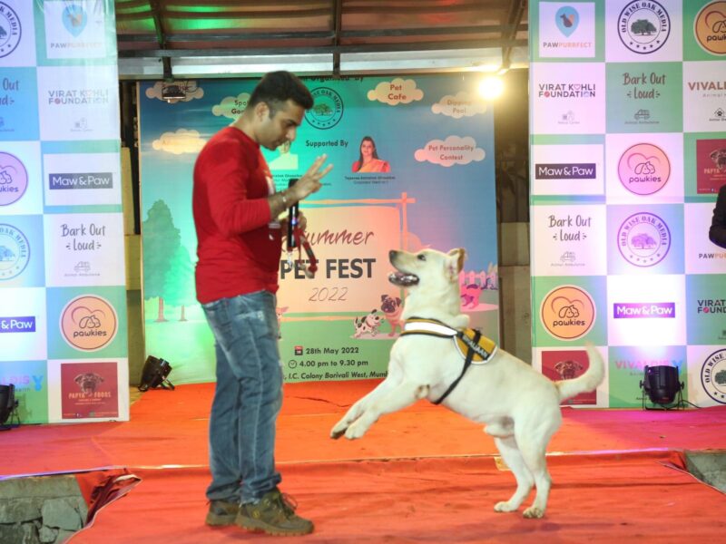 Pet Event Curator