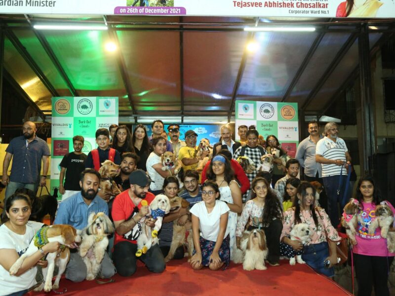 Pet Event Curator