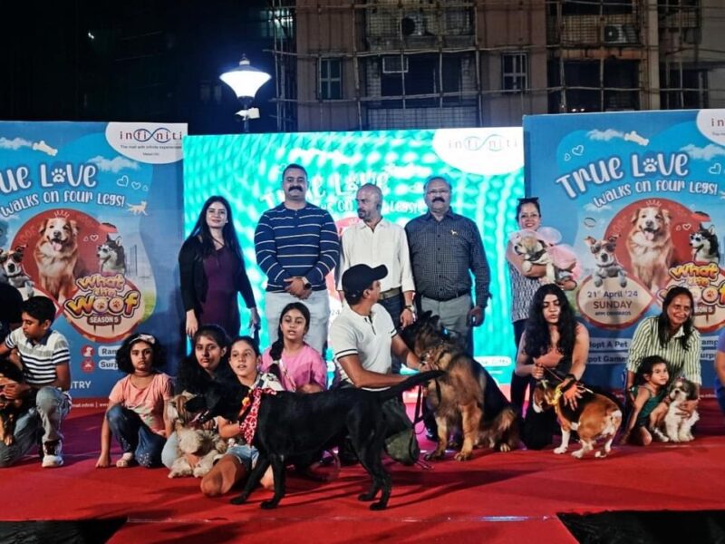 Pet Event Curator