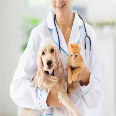 Veterinarians