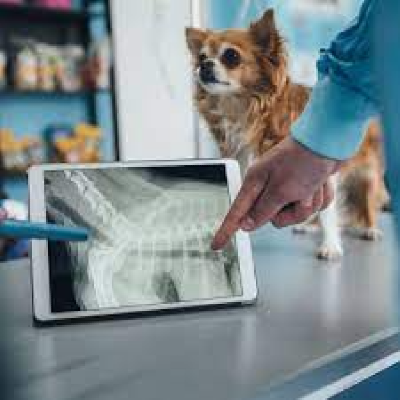 Pet Diagnostic Centres