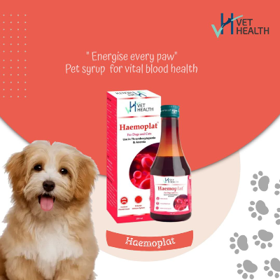 Haemoplat Iron Syrup Supplement for Pets