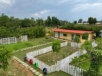 Ambi The Dog Resort