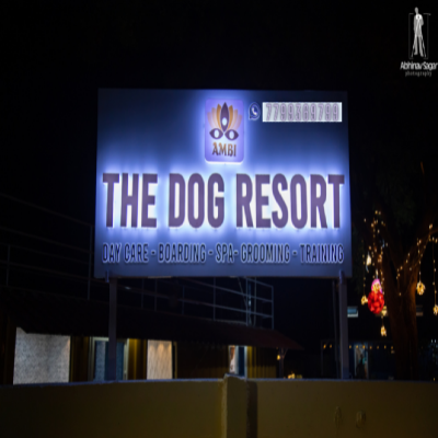 Ambi The Dog Resort